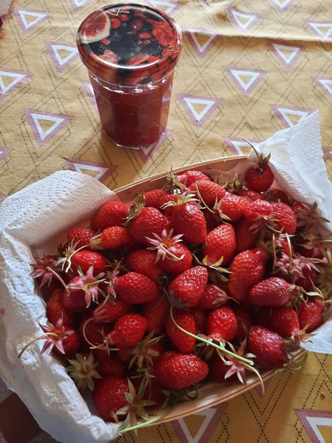 Neret Notre Village Papillon Bed&Breakfast المظهر الخارجي الصورة